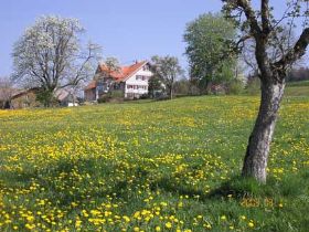 lichtblick_fruehling.jpg